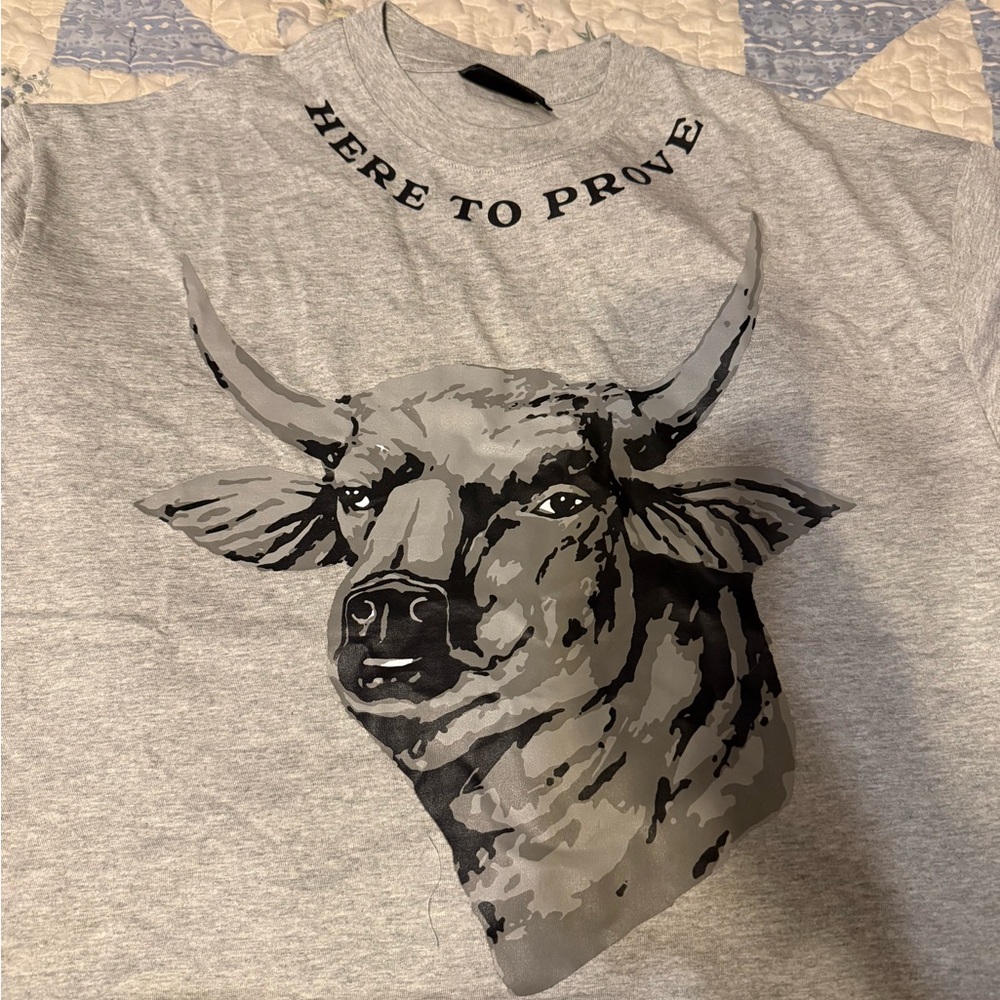 Zach Bryan “Open the Gates” concert tee Gray Graphic Bull Tee - Short Sleeve